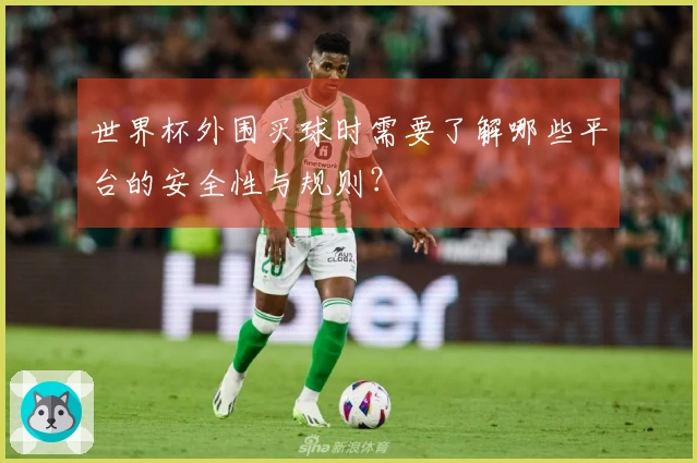 世界杯外围买球时需要了解哪些平台的安全性与规则？