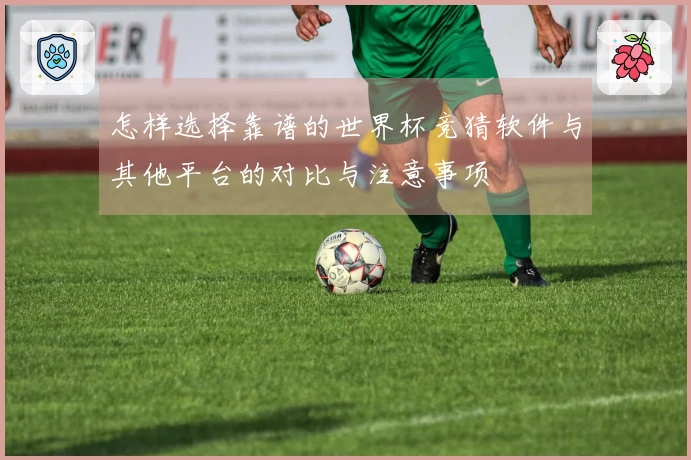 怎样选择靠谱的世界杯竞猜软件与其他平台的对比与注意事项