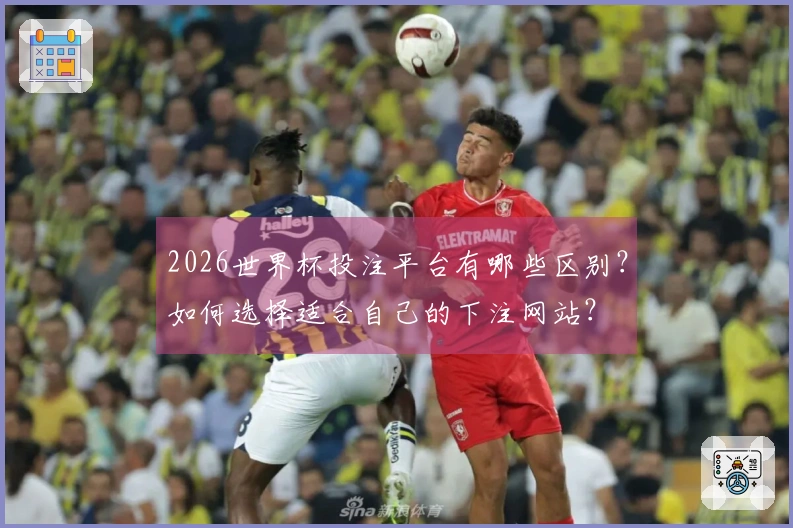 2026世界杯投注平台有哪些区别？如何选择适合自己的下注网站？
