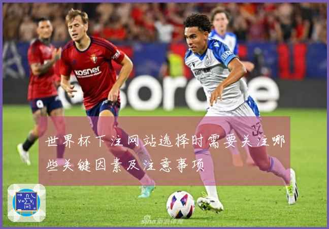 世界杯下注网站选择时需要关注哪些关键因素及注意事项