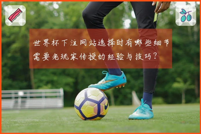 世界杯下注网站选择时有哪些细节需要老玩家传授的经验与技巧？