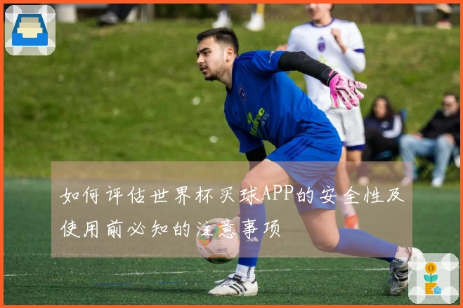 如何评估世界杯买球APP的安全性及使用前必知的注意事项