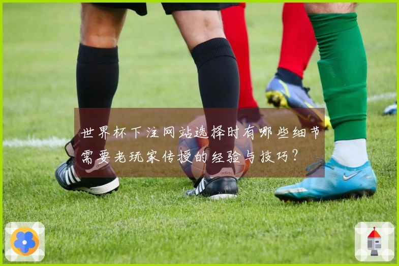 世界杯下注网站选择时有哪些细节需要老玩家传授的经验与技巧？