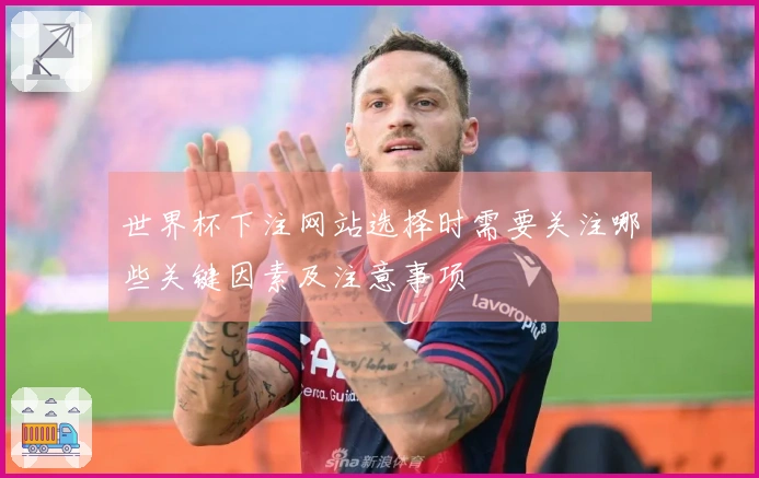 世界杯下注网站选择时需要关注哪些关键因素及注意事项